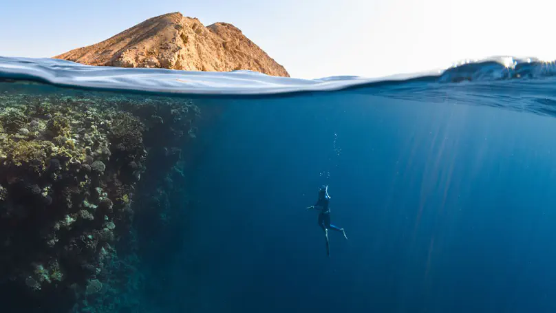 Software-as-a-service